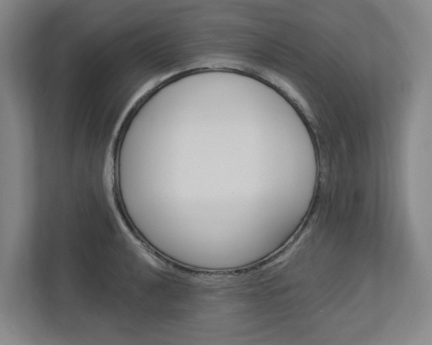 X0000113051040200908271050