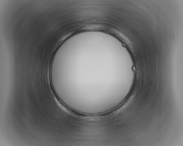 X0000113051041200908271050