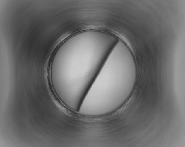 X0000113051042200908271050