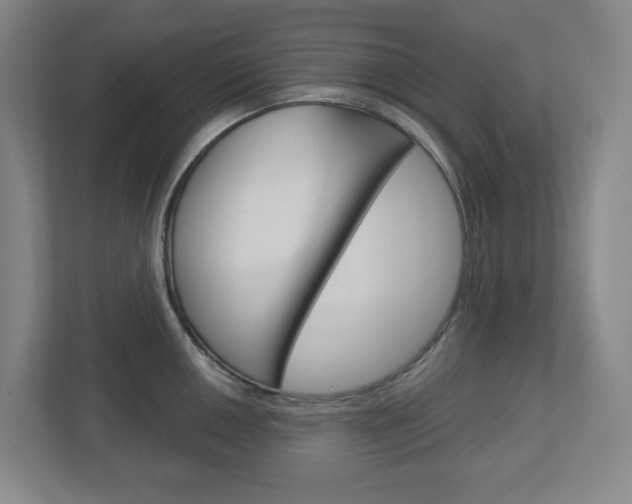 X0000113051050200908271051