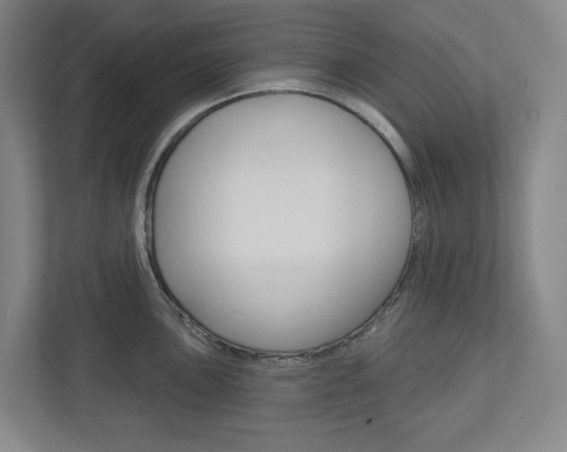 X0000113051051200908271051
