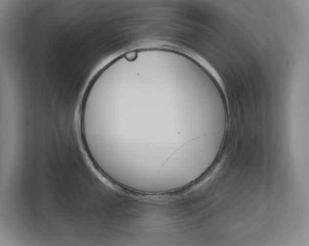 X0000113051053200908271051