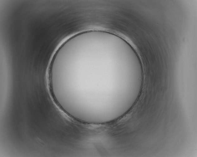 X0000113051056200908271051