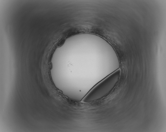 X0000113051057200908271050