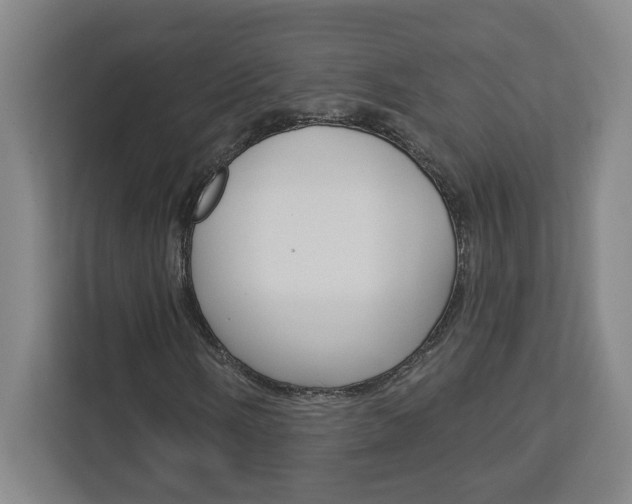 X0000113051058200908271050