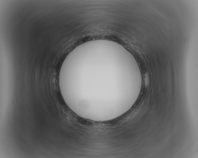 X0000113051059200908271050