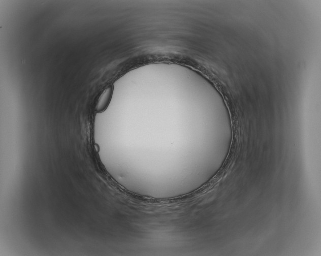 X0000113051061200908271050