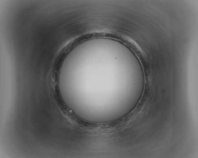 X0000113051064200908271050