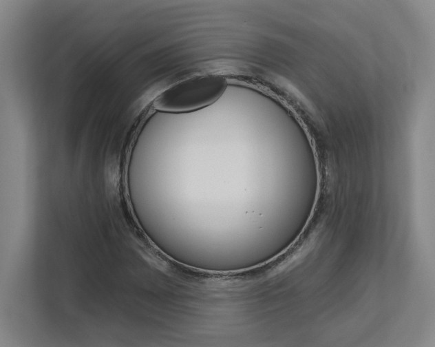 X0000113051065200908271050