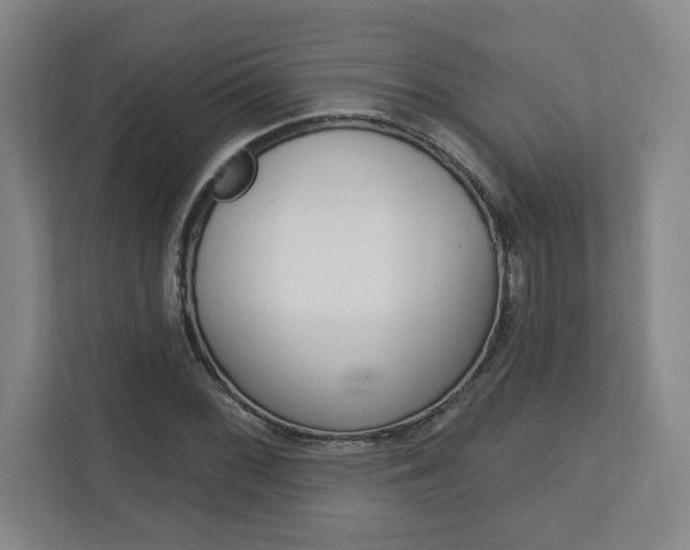 X0000113051068200908271050