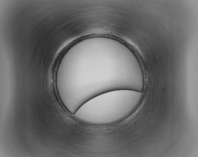 X0000113051070200908271050