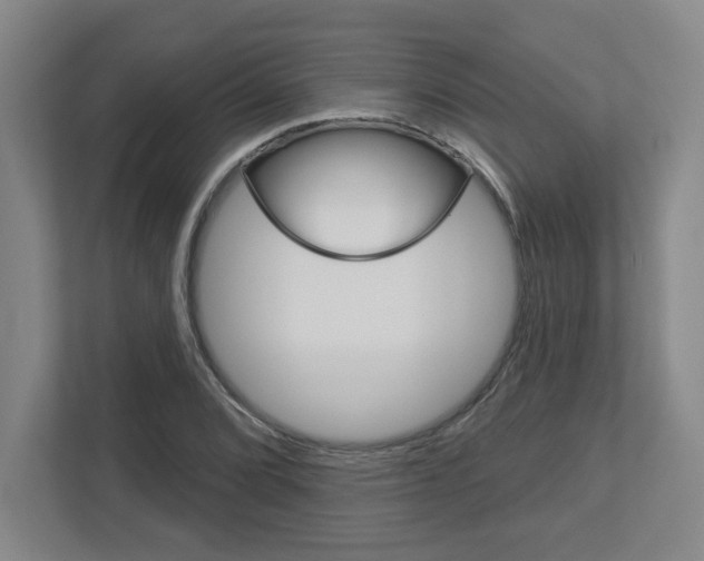X0000113051072200908271050