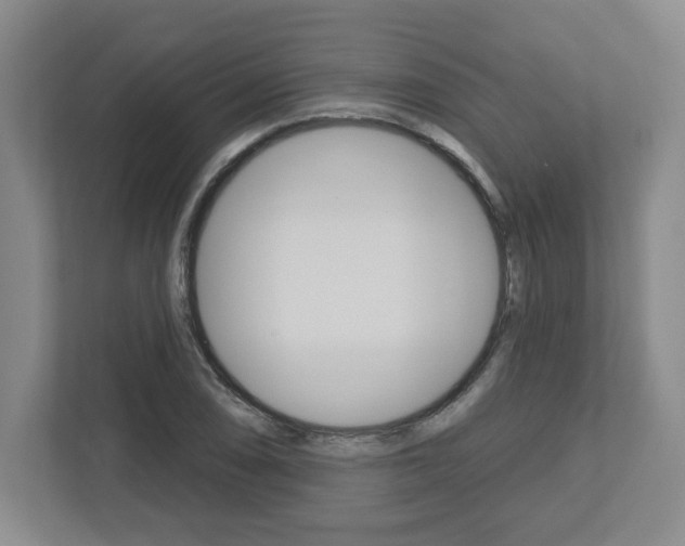 X0000113051074200908271050