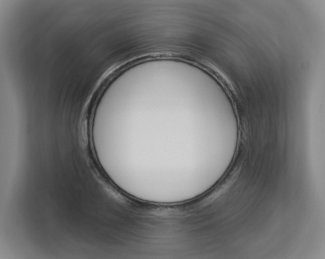 X0000113051075200908271050