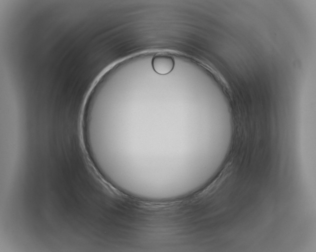 X0000113051076200908271050