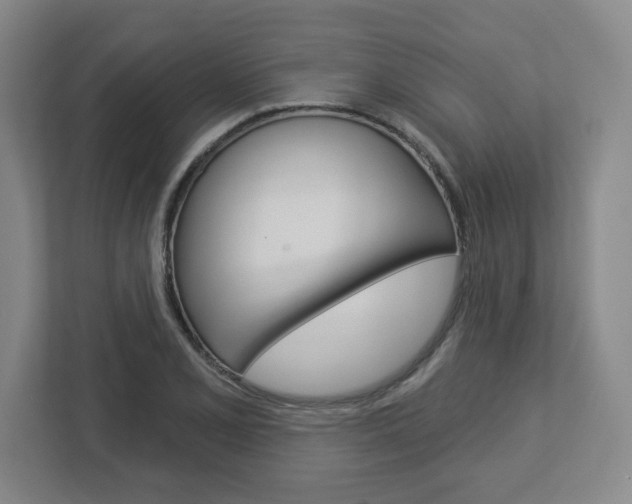 X0000113051077200908271050