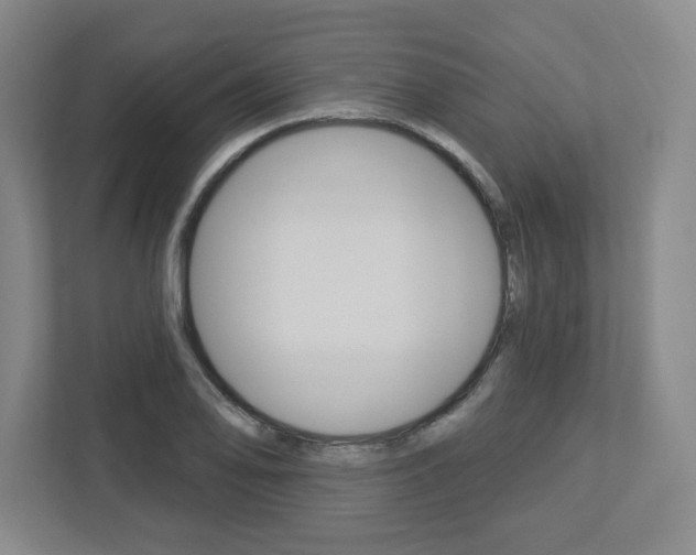 X0000113051078200908271050