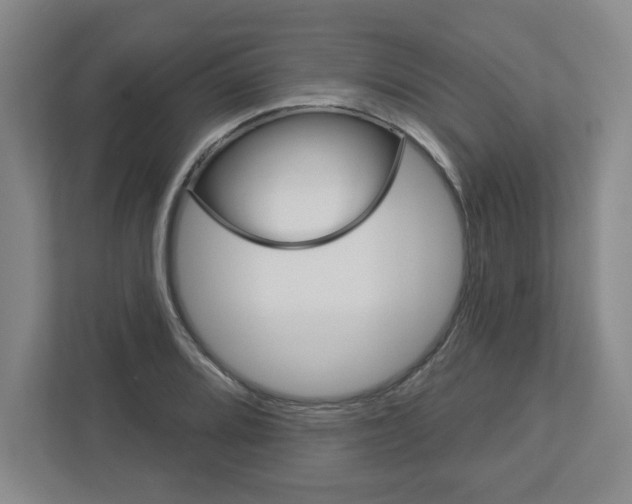 X0000113051080200908271050