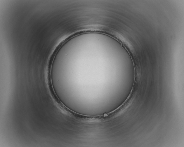 X0000113051085200908271050