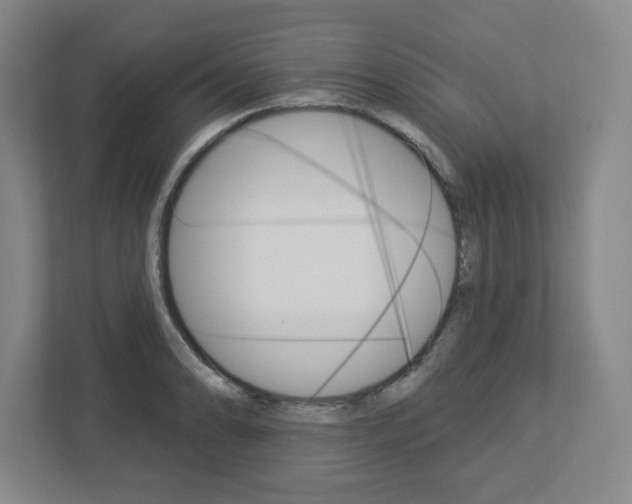 X0000113051086200908271050