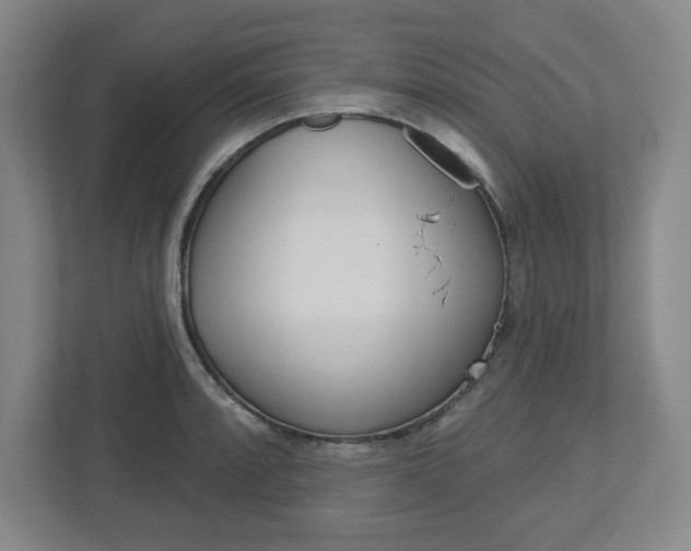 X0000113051088200908271050