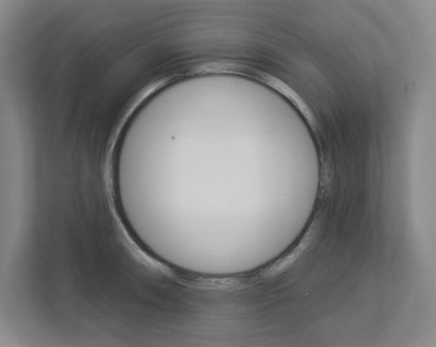 X0000113051090200908271050