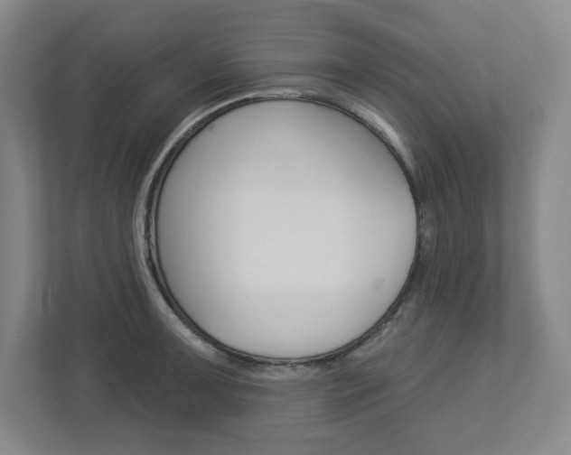 X0000113051091200908271050