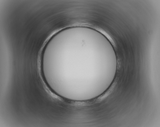 X0000113051094200908271050