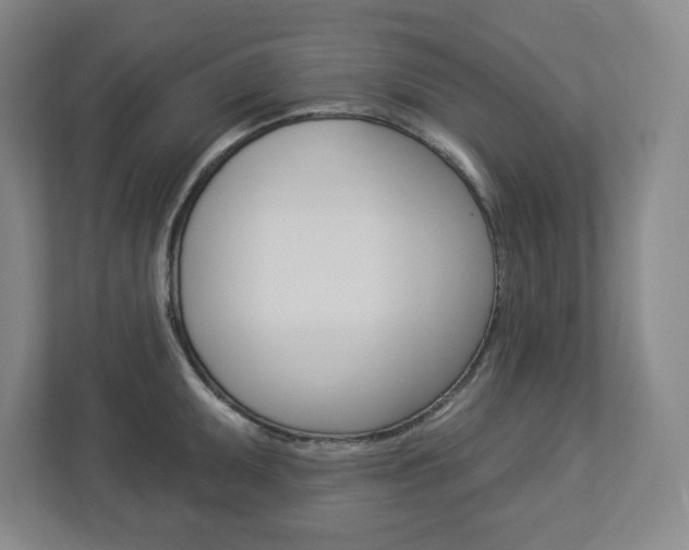 X0000113051095200908271050