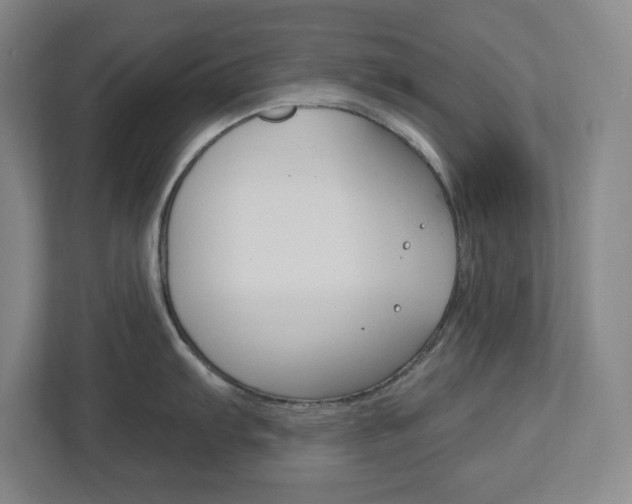 X0000113051103200908271049