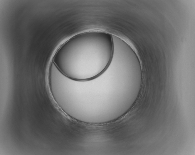 X0000113051104200908271049