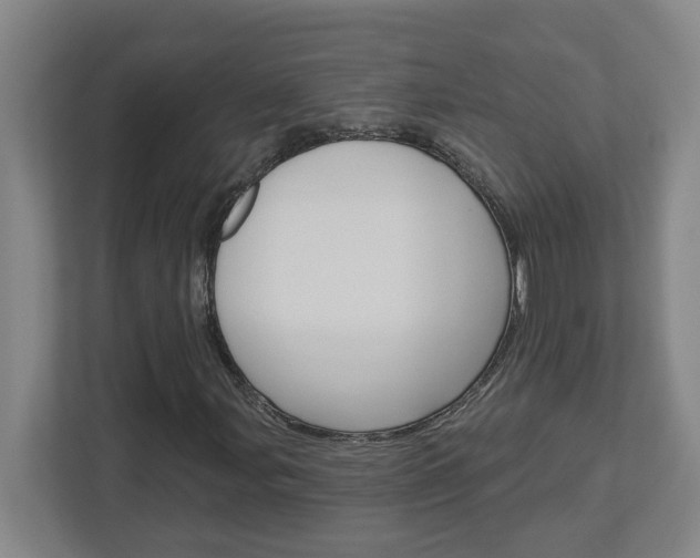 X0000113051107200908271049