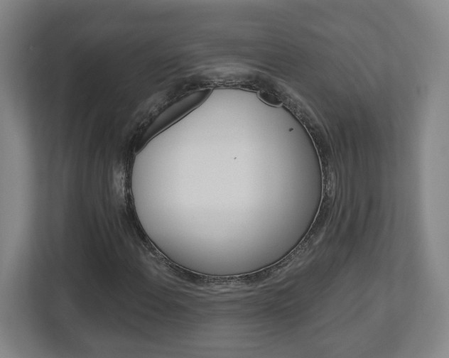 X0000113051108200908271049