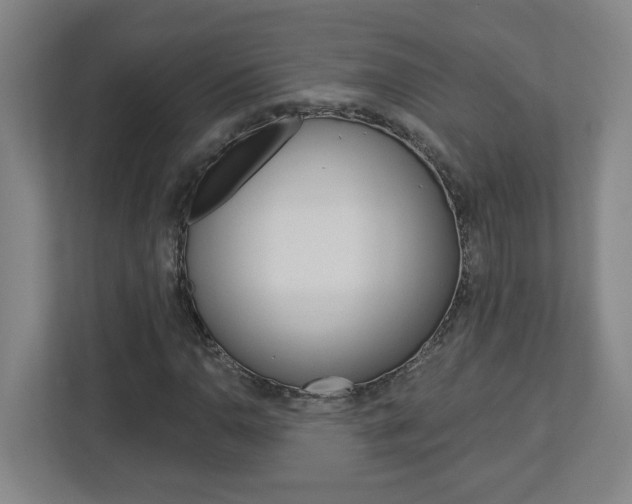 X0000113051110200908271049