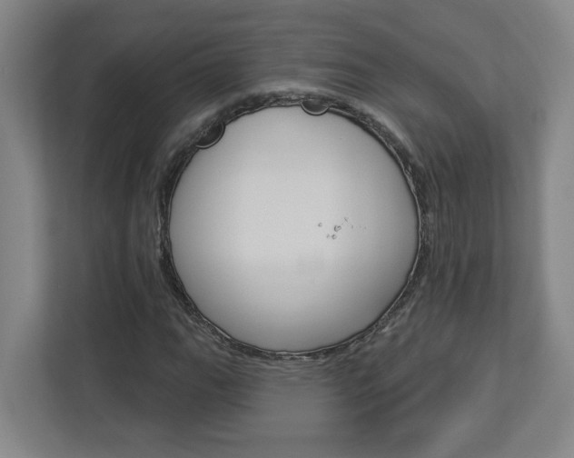 X0000113051111200908271049