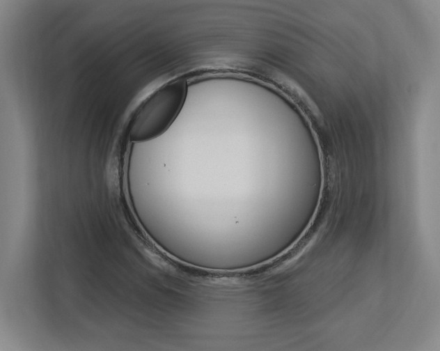 X0000113051114200908271049
