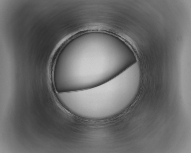 X0000113051120200908271049