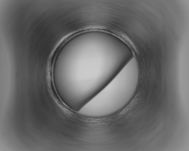 X0000113051124200908271049