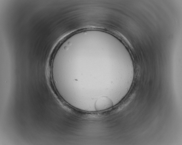X0000113051125200908271049