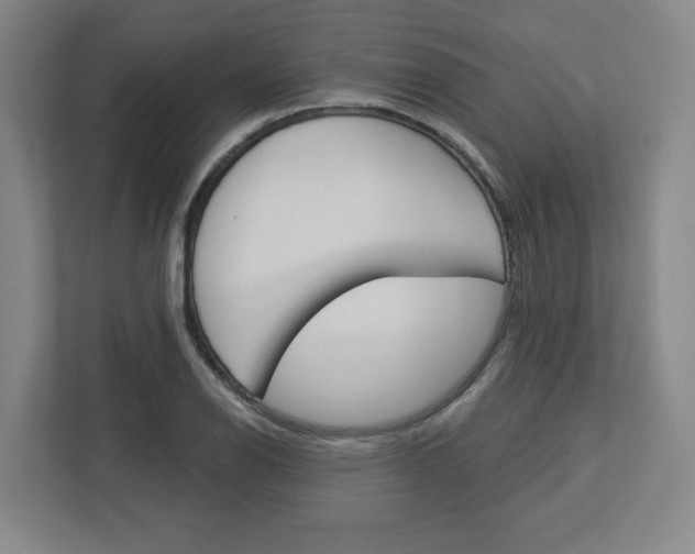 X0000113051126200908271049