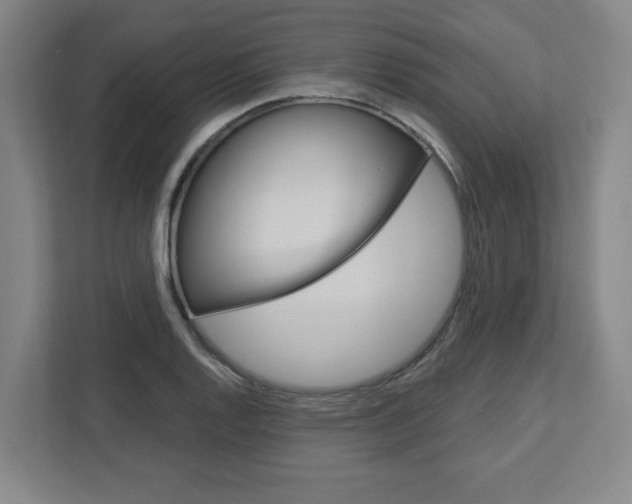 X0000113051128200908271049
