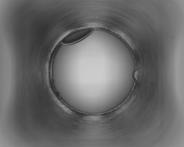 X0000113051134200908271049