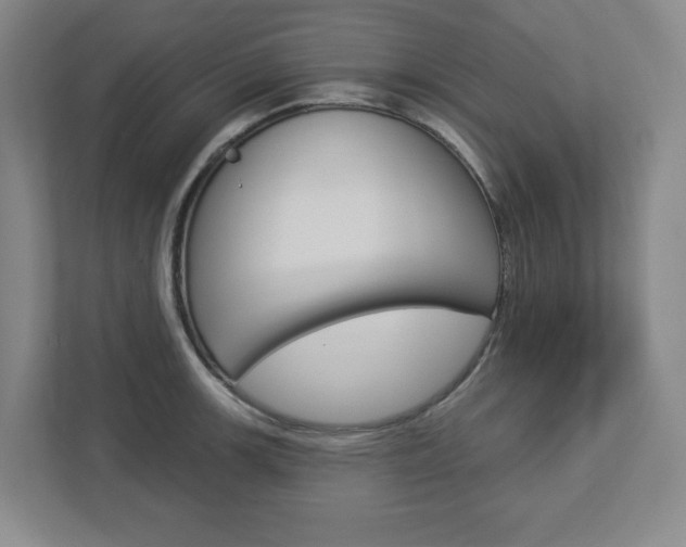 X0000113051139200908271049