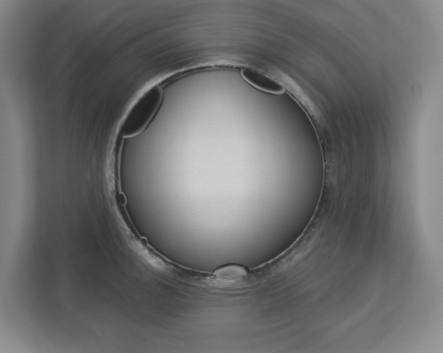 X0000113051140200908271049