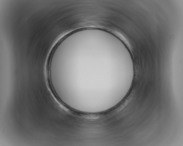 X0000113051141200908271049