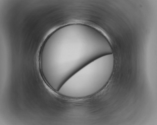 X0000113051143200908271049