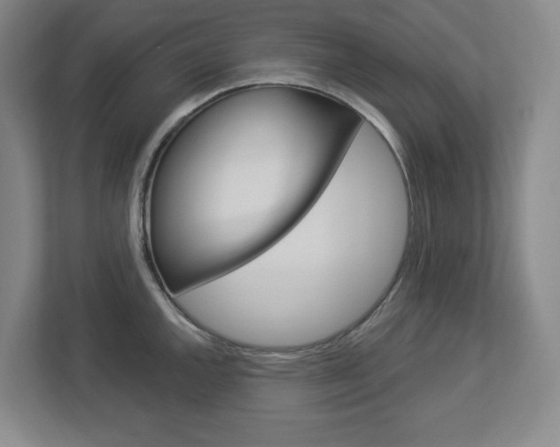 X0000113051144200908271049