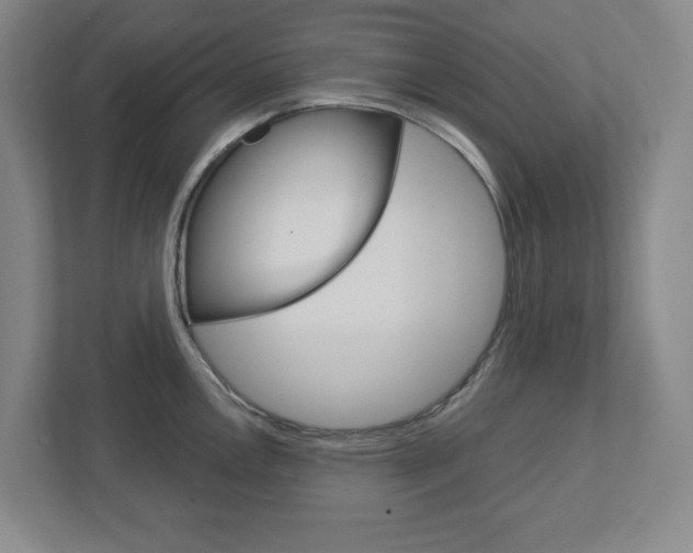 X0000113051146200908271049