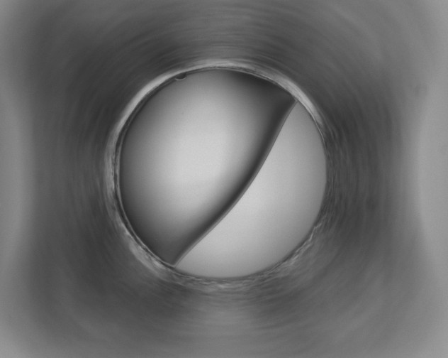 X0000113051148200908271049