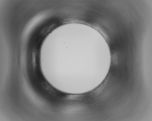 X0000113051150200908271049